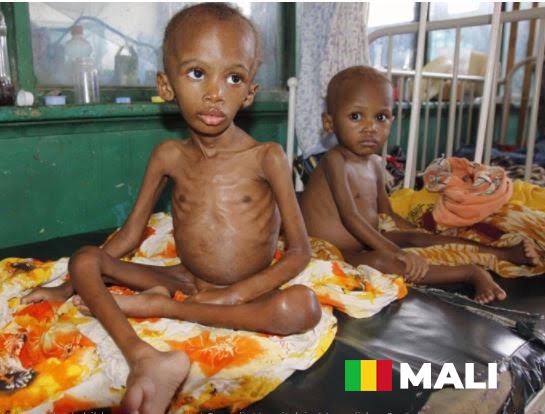 Au Mali, la crise humanitaire franchit un cap critique : 9,7 millions de vies en suspens